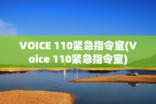 VOICE 110紧急指令室(Voice 110紧急指令室)
