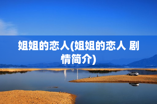 姐姐的恋人(姐姐的恋人 剧情简介)