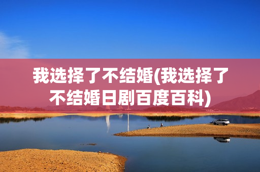 我选择了不结婚(我选择了不结婚日剧百度百科)