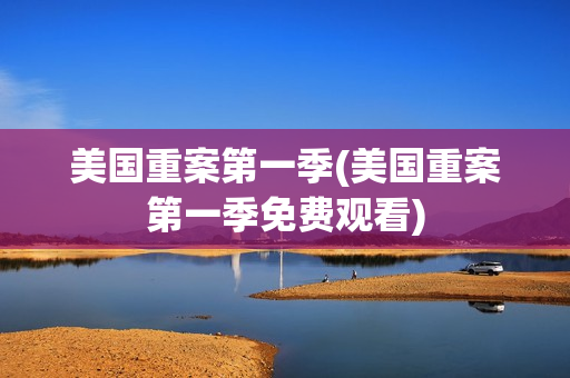 美国重案第一季(美国重案第一季免费观看)