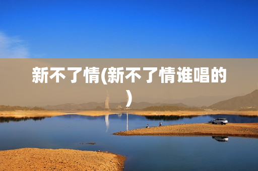 新不了情(新不了情谁唱的)