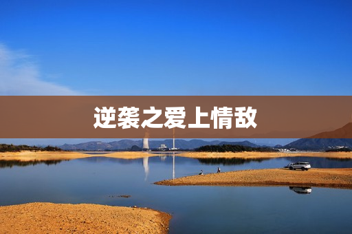 逆袭之爱上情敌