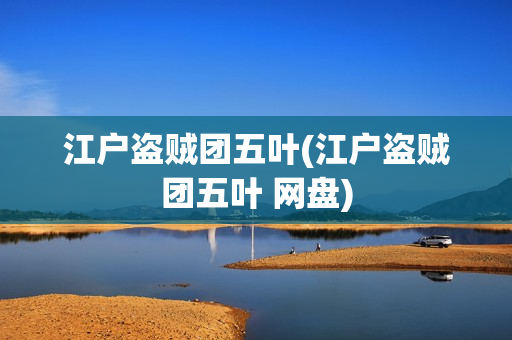 江户盗贼团五叶(江户盗贼团五叶 网盘)