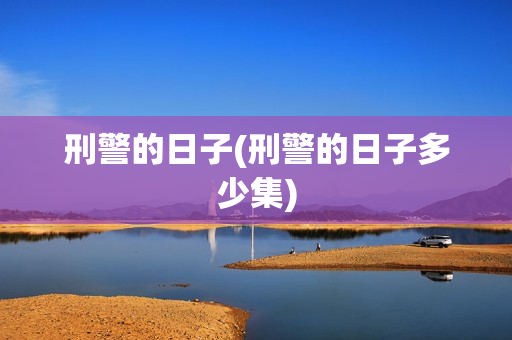 刑警的日子(刑警的日子多少集)