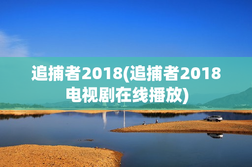 追捕者2018(追捕者2018电视剧在线播放)