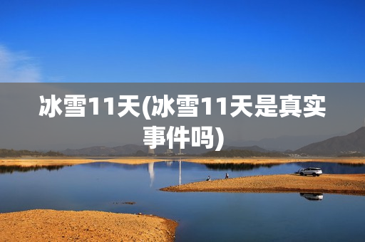 冰雪11天(冰雪11天是真实事件吗)