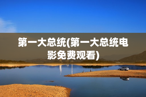 第一大总统(第一大总统电影免费观看)