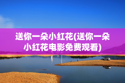 送你一朵小红花(送你一朵小红花电影免费观看)