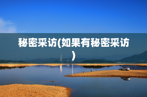 秘密采访(如果有秘密采访)