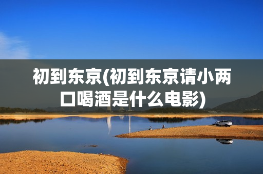 初到东京(初到东京请小两口喝酒是什么电影)