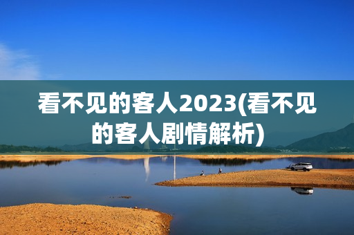 看不见的客人2023(看不见的客人剧情解析)