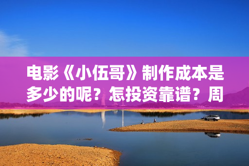 电影《小伍哥》制作成本是多少的呢？怎投资靠谱？周期是多久的呢？(电影小伍哥出品方是谁)