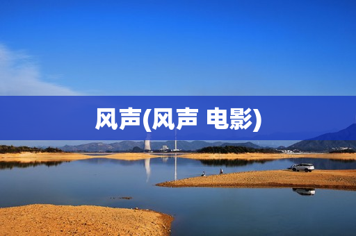 风声(风声 电影)