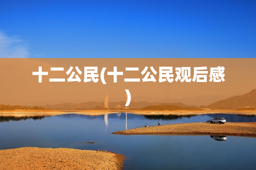 十二公民(十二公民观后感)