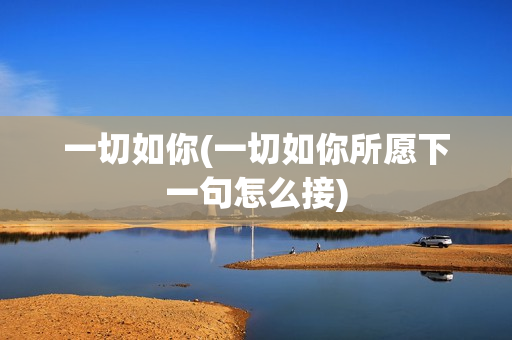 一切如你(一切如你所愿下一句怎么接)