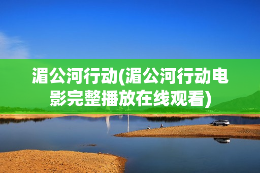 湄公河行动(湄公河行动电影完整播放在线观看)