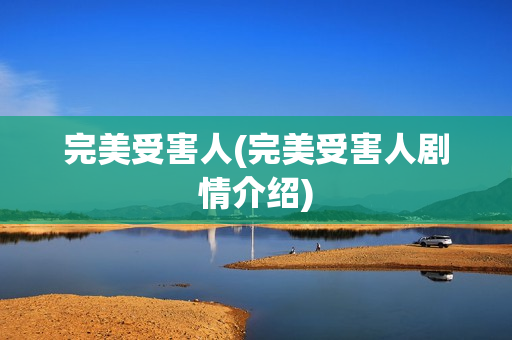 完美受害人(完美受害人剧情介绍)