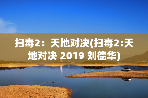 扫毒2：天地对决(扫毒2:天地对决 2019 刘德华)
