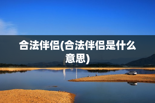 合法伴侣(合法伴侣是什么意思)