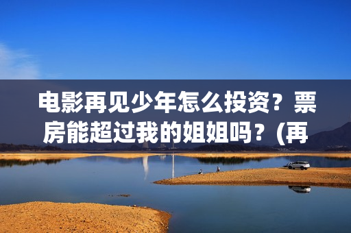电影再见少年怎么投资？票房能超过我的姐姐吗？(再见少年演的啥)