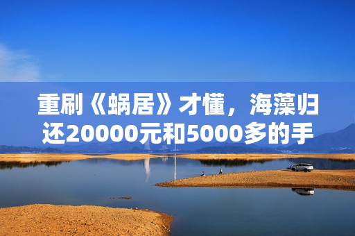 重刷《蜗居》才懂，海藻归还20000元和5000多的手机，是内心的挣扎，委身宋思明，不过是另一种活法
