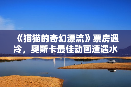 《猫猫的奇幻漂流》票房遇冷，奥斯卡最佳动画遭遇水土不服