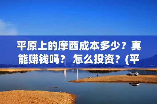 平原上的摩西成本多少？真能赚钱吗？ 怎么投资？(平原上的摩西摩西什么意思)