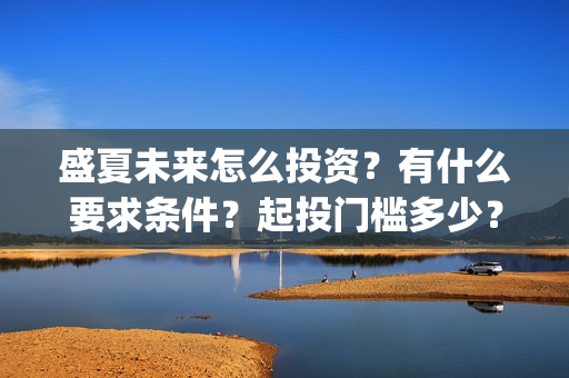 盛夏未来怎么投资？有什么要求条件？起投门槛多少？(盛夏未来怎么了)