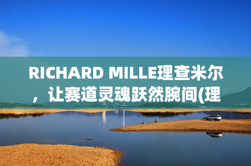 RICHARD MILLE理查米尔，让赛道灵魂跃然腕间(理查029)