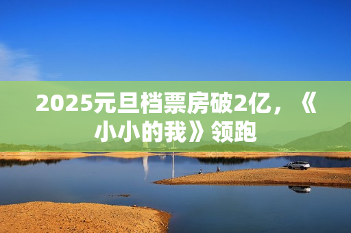 2025元旦档票房破2亿，《小小的我》领跑