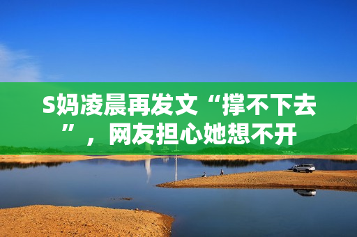 S妈凌晨再发文“撑不下去”，网友担心她想不开