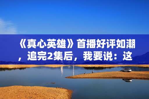 《真心英雄》首播好评如潮，追完2集后，我要说：这部涉案剧要火