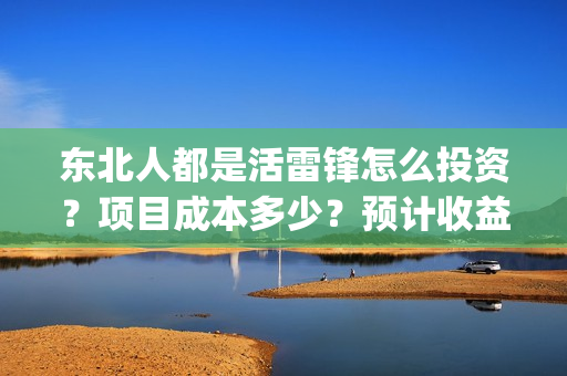 东北人都是活雷锋怎么投资？项目成本多少？预计收益多少？(东北人都是活雷锋 mv)