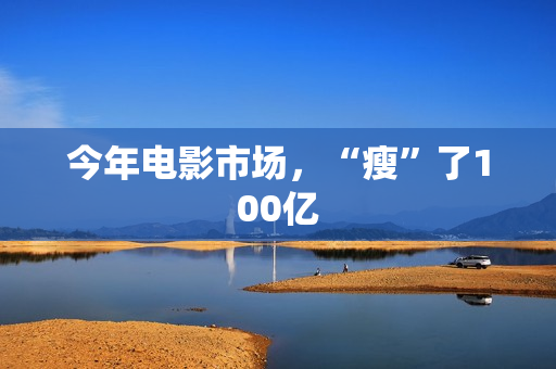 今年电影市场，“瘦”了100亿