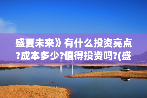 盛夏未来》有什么投资亮点?成本多少?值得投资吗?(盛夏未来ing)