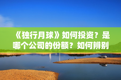 《独行月球》如何投资？是哪个公司的份额？如何辨别？(moonyou-独行月球)