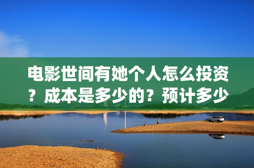 电影世间有她个人怎么投资？成本是多少的？预计多少票房？(世间有她电影现在什么情况)