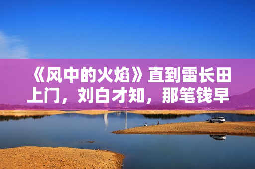 《风中的火焰》直到雷长田上门，刘白才知，那笔钱早已被梅苇拿走