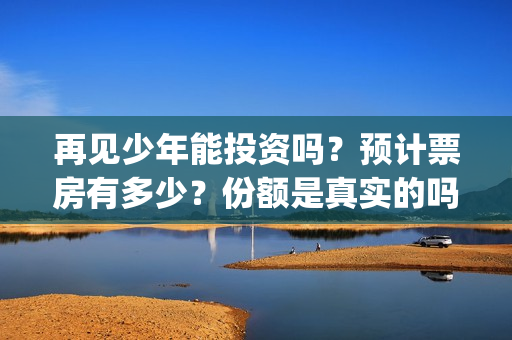 再见少年能投资吗？预计票房有多少？份额是真实的吗？(再见少年可以投资吗)