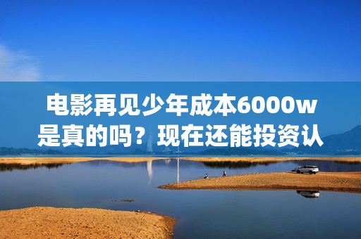电影再见少年成本6000w是真的吗？现在还能投资认购份额吗？(电影《再见少年》)