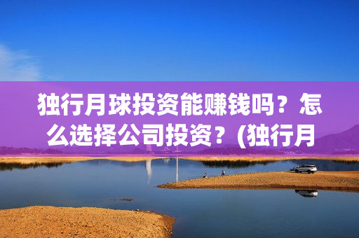 独行月球投资能赚钱吗？怎么选择公司投资？(独行月球投资方)