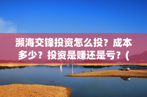濒海交锋投资怎么投？成本多少？投资是赚还是亏？(濒海交锋能投吗)