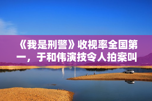 《我是刑警》收视率全国第一，于和伟演技令人拍案叫绝