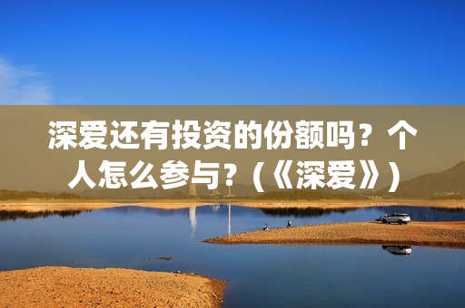 深爱还有投资的份额吗?个人怎么参与?(《深爱》) 深爱还有投资的份额吗?个人怎么参与?(《深爱》)