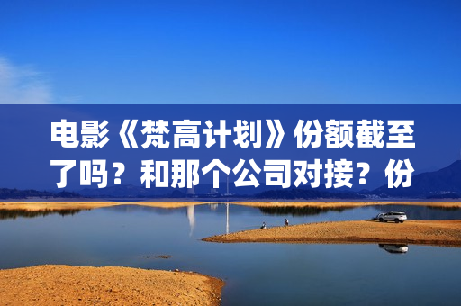 电影《梵高计划》份额截至了吗？和那个公司对接？份额真实吗？(梵高计划出品人)