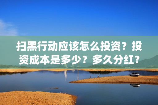 扫黑行动应该怎么投资？投资成本是多少？多久分红？(扫黑行动应该怎么拍摄的)