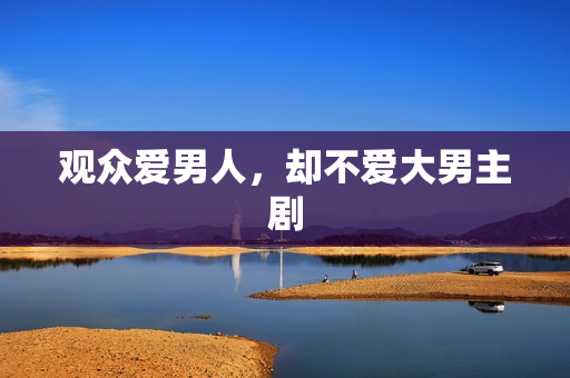 观众爱男人，却不爱大男主剧