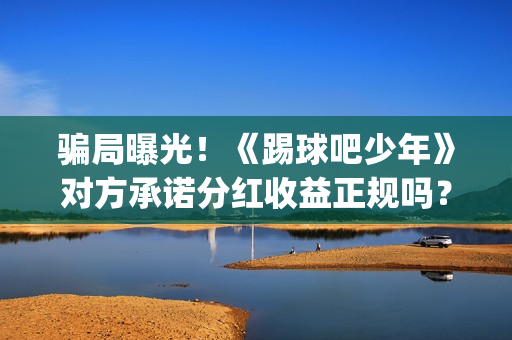 骗局曝光！《踢球吧少年》对方承诺分红收益正规吗？交钱进去被骗怎么办？——抵制耐克(网络上说的踢踢什么意思)