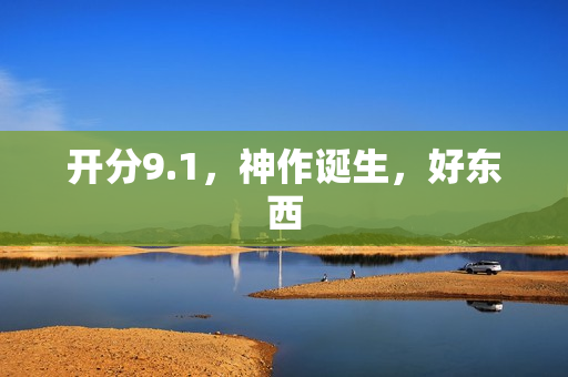 开分9.1，神作诞生，好东西