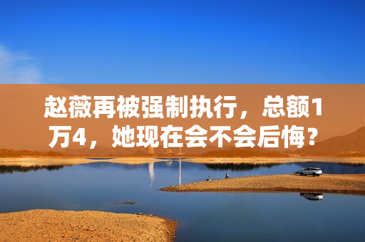 赵薇再被强制执行，总额1万4，她现在会不会后悔？